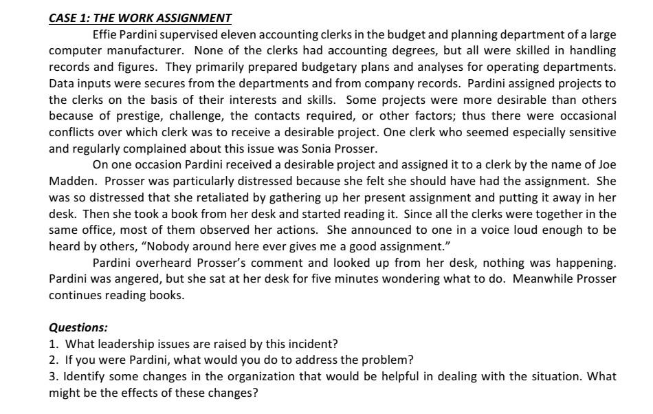CASE 1: THE WORK ASSIGNMENT Effie Pardini