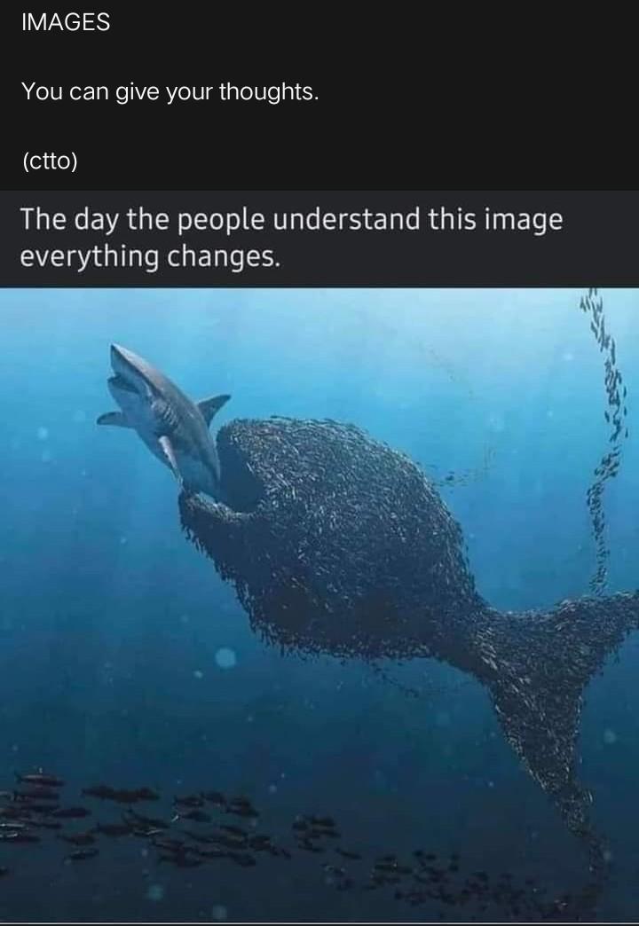 Please give your thoughts about this. Thank you.