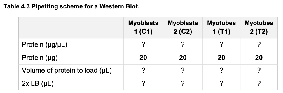 a) Determine the concentration of total protein