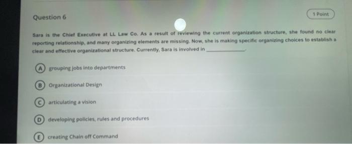 1 Point Question 6 Sara is the Chief Executive at