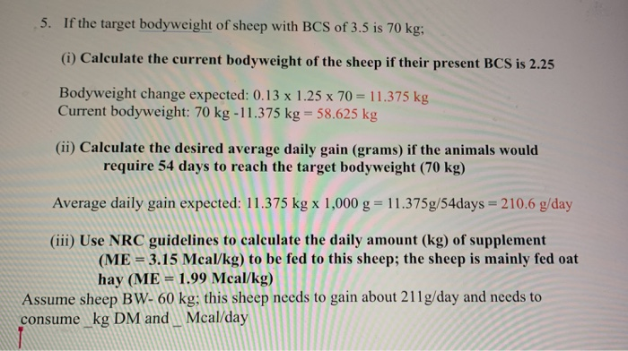 5. If the target bodyweight of sheep with BCS of