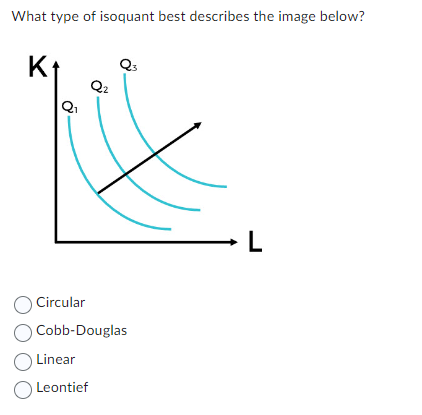 What type of isoquant best describes the image