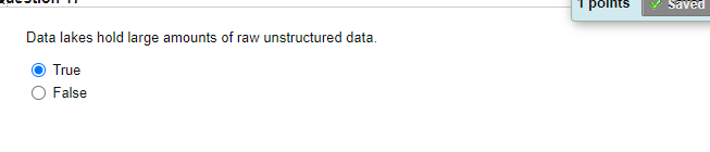 undefined points Saved Data lakes hold large