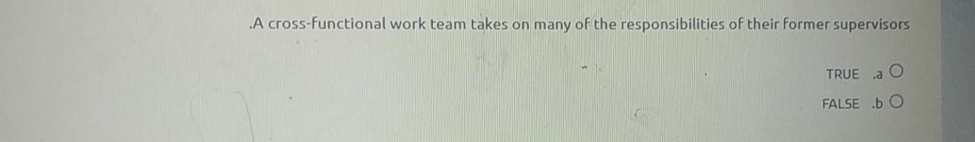 .A cross-functional work team takes on many of