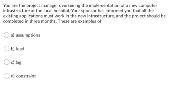 You are the project manager overseeing the