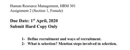Human Resource Management, HRM 301 Assignment 2