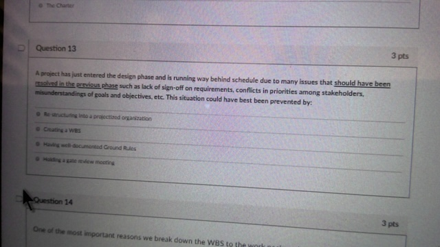 The Charter Question 13 3 pts A project has just