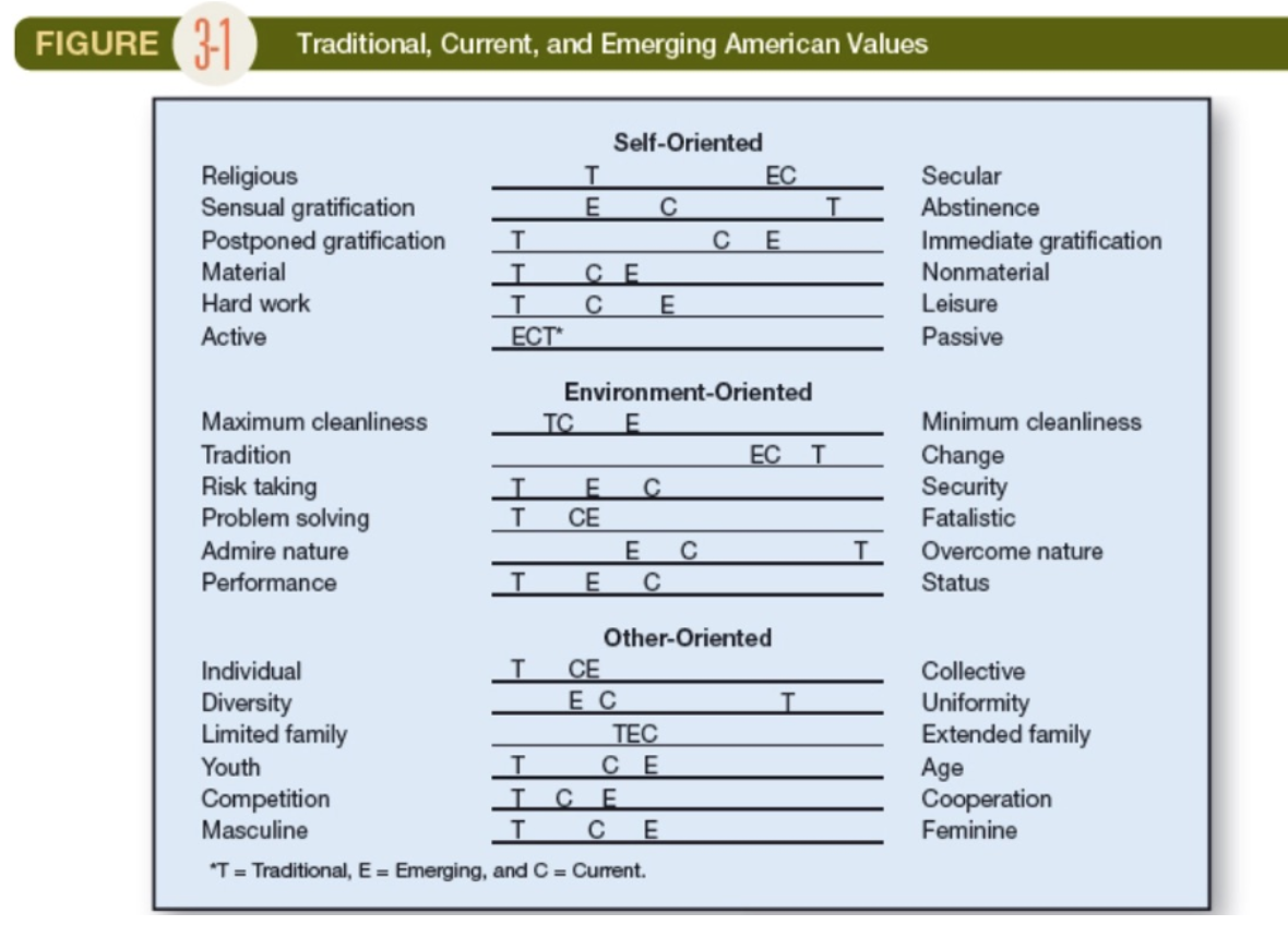 Describe additional values you feel could, or