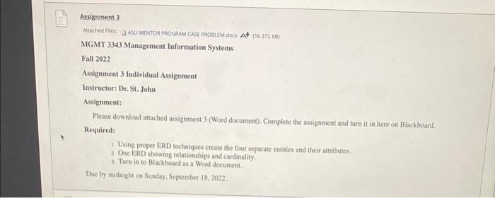 i need help with this assignment MGMT 3343