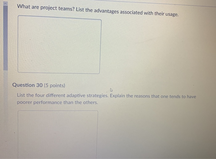 What are project teams? List the advantages
