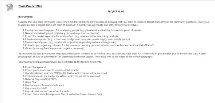 Team Project Plan PROJECT PLAN Instructions:
