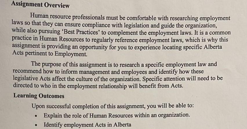 Assignment Overview Human resource professionals