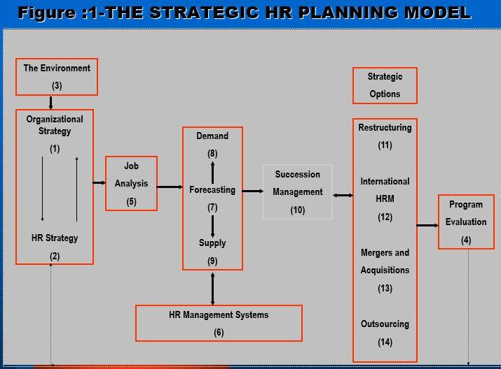 Strategic Human Resource Planning uses a model