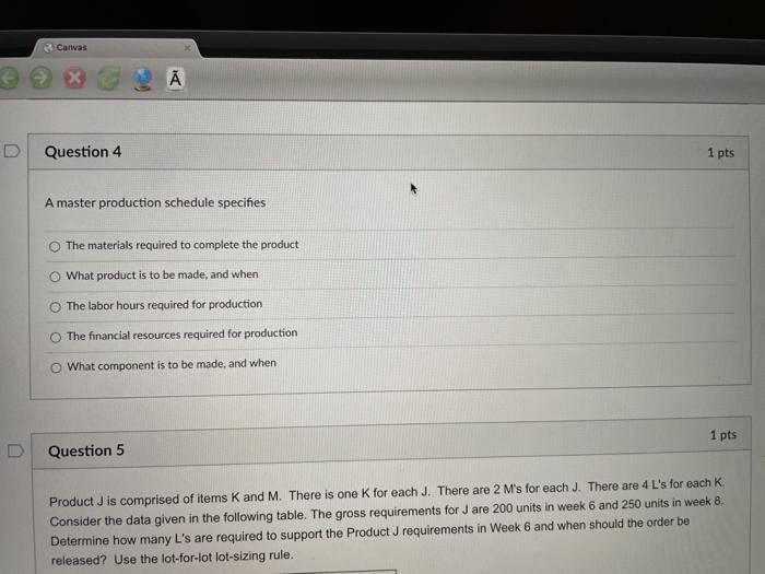 Canvas Question 4 1 pts A master production