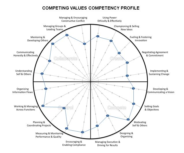 Use the given THE COMPETING VALUES COMPETENCY