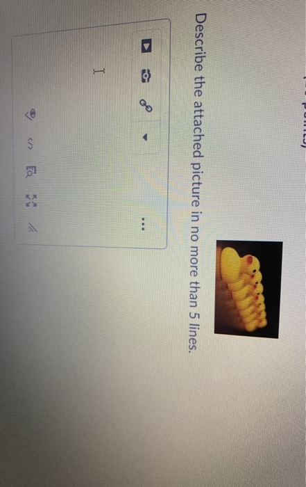 Describe the attached picture in no more than 5