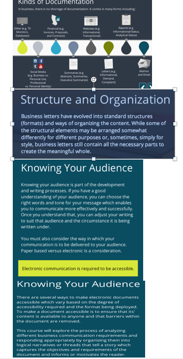 Professional Communication Analysis (30%) (Please