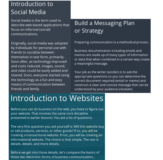 Professional Communication Analysis (30%) (Please