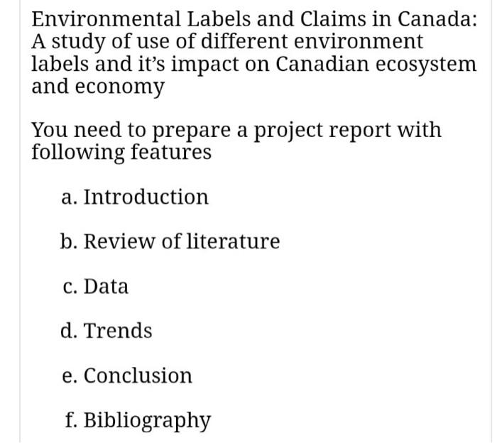 prepare a project report . please do it properly