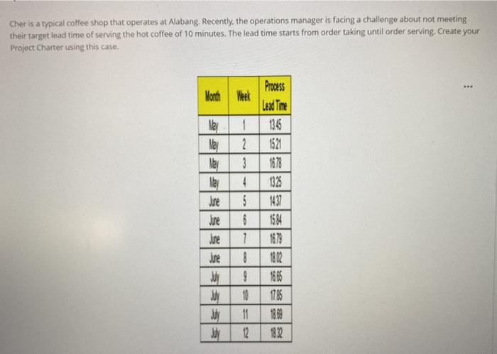 create a project charter using this case. Cher is