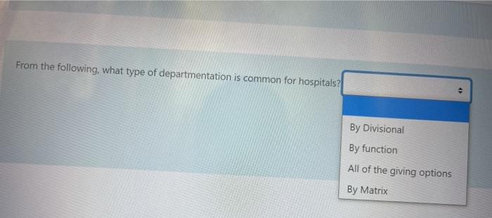 From the following, what type of departmentation