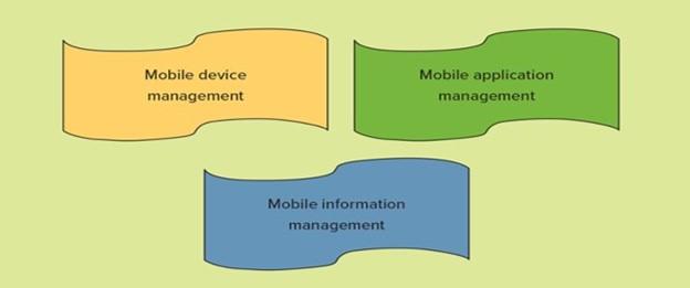 1. Why is mobility important to business? 2. What
