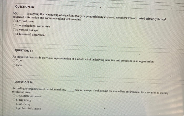QUESTION 56 A(n) is a group that is made up of