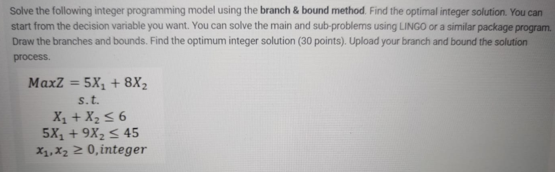 Solve the following integer programming model