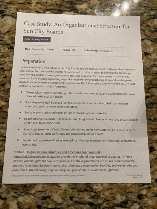 Case Study: An Organizational Structure for Sun