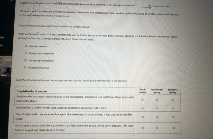 options for question #1 A.) Functional B.) Task