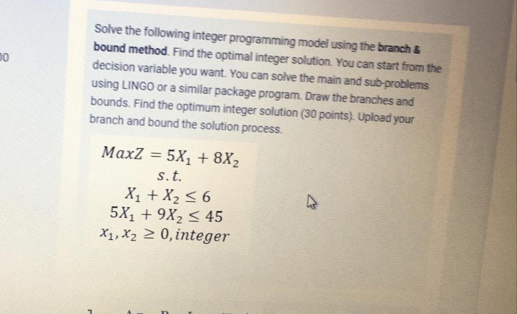 00 Solve the following integer programming model