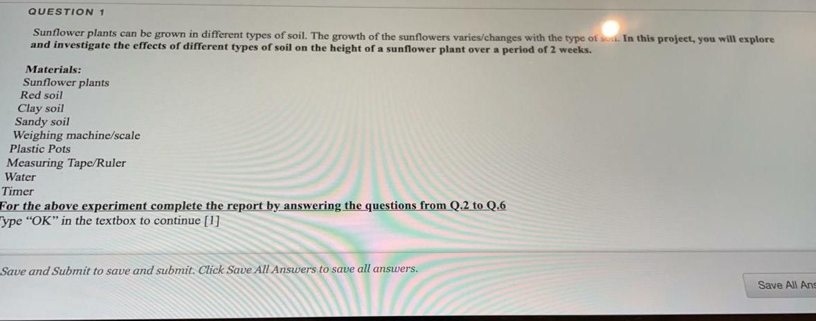 QUESTION 1 Sunflower plants can be grown in