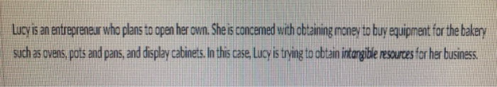 true or false ? Lucy is an entrepreneur who plans