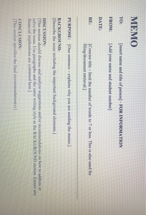 Scenario for the Business Memo: The new Director,