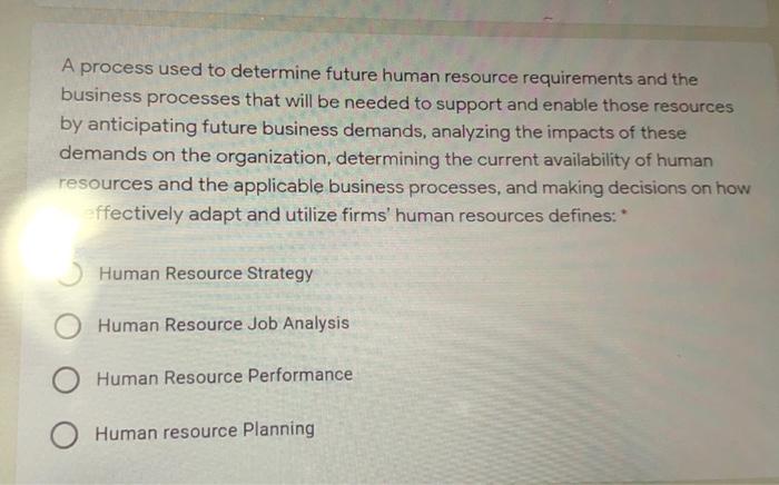A process used to determine future human resource