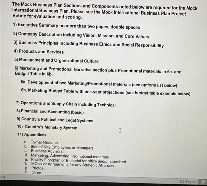 The Mock Business Plan Sections and Components