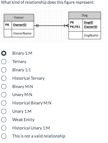 What kind of relationship does this figure