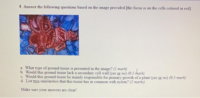 4. Answer the following questions based on the