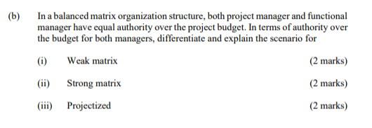 (b) In a balanced matrix organization structure,