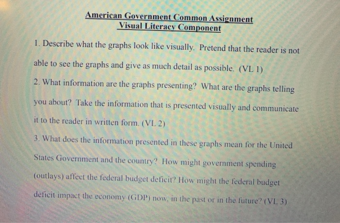 American Government Common Assignment Visual