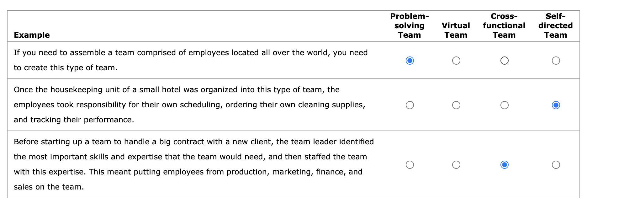 Problem- solving Team Virtual Team Cross-