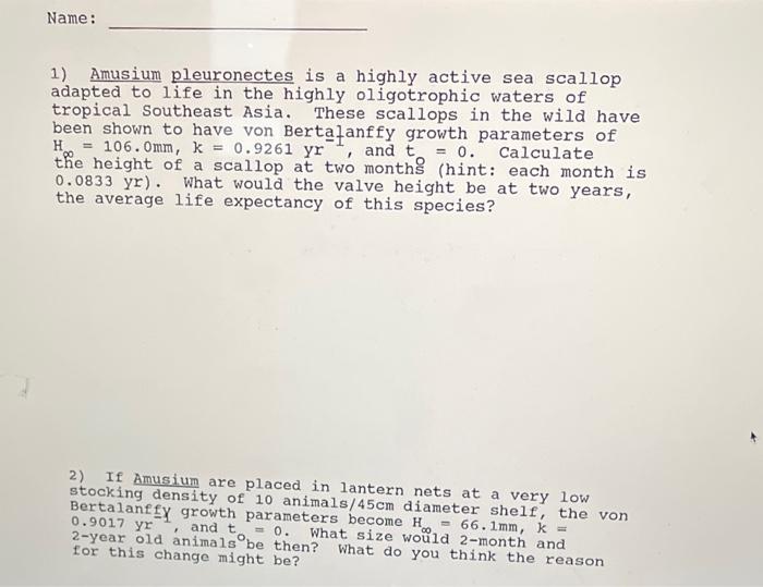 1) Amusium pleuronectes is a highly active sea