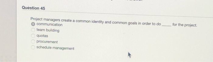 Question 45 for the project. Project managers