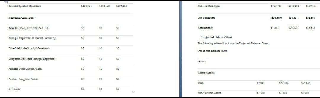 QUESTION- PLEASE READ BUSINESS PLAN. 1) GENERATE