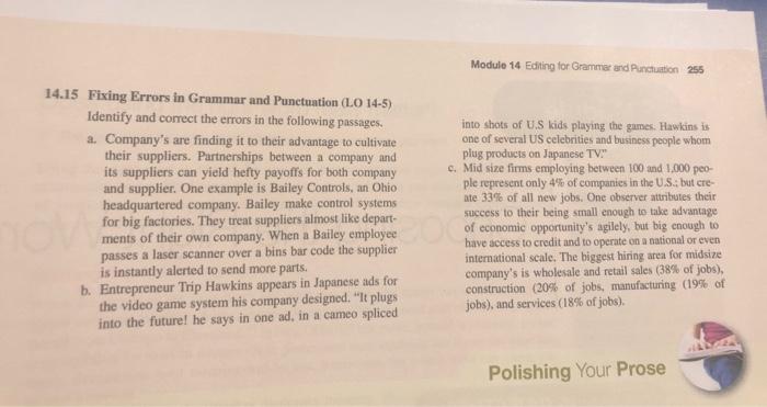 Module 14 Editing for Grammar and Punctuation 255