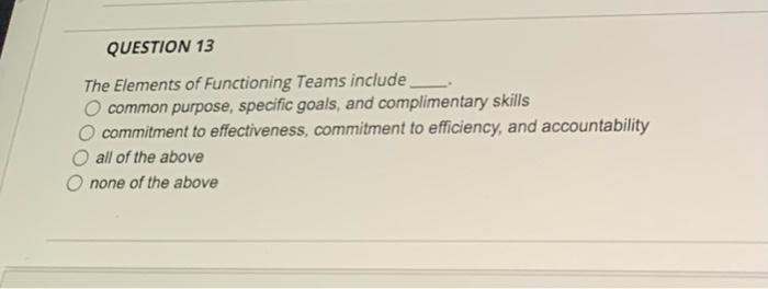 QUESTION 13 The Elements of Functioning Teams