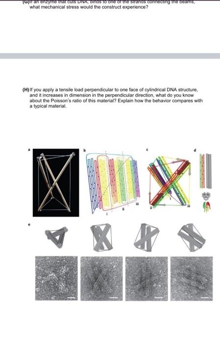 please amswer only D to H PLEASE HELP ME YOU WILL