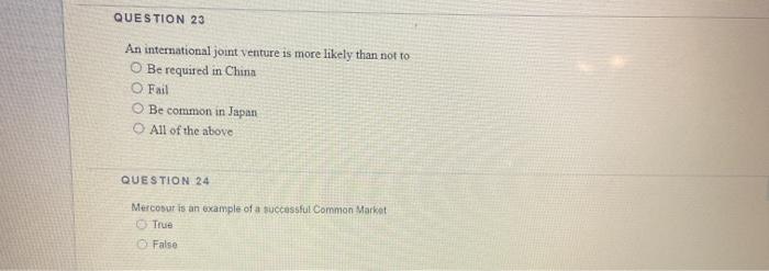 QUESTION 23 An international joint venture is