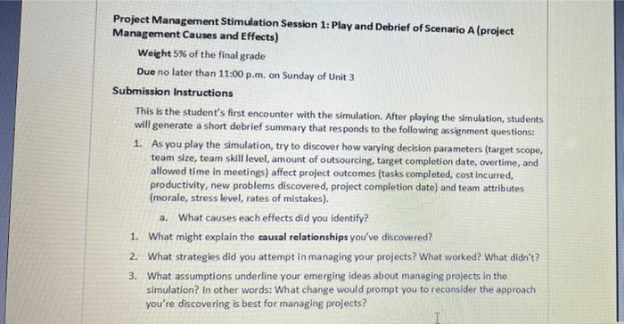 prepare a simulation report. Project Management