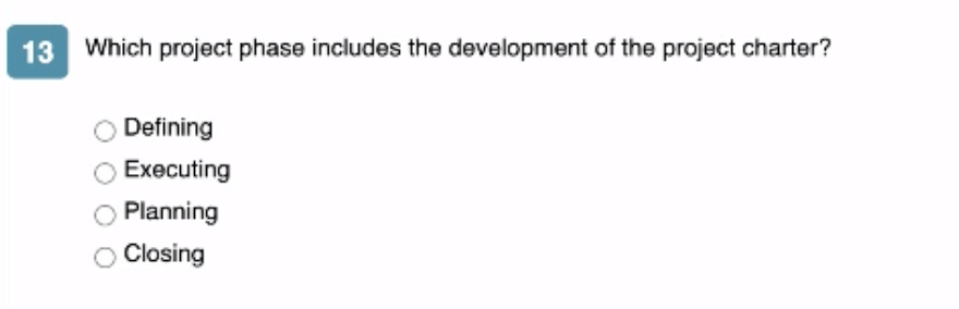 13 Which project phase includes the development